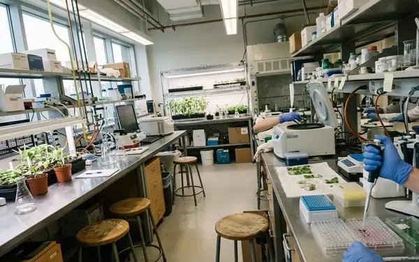 How University Research Can Accelerate Food and Agriculture Innovation